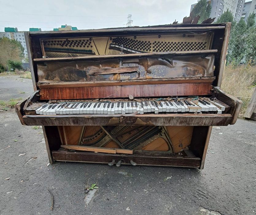 Opróżnianie Mieszkań Gdynia Wywóz Starych Mebli Wynoszenie z Mieszkań