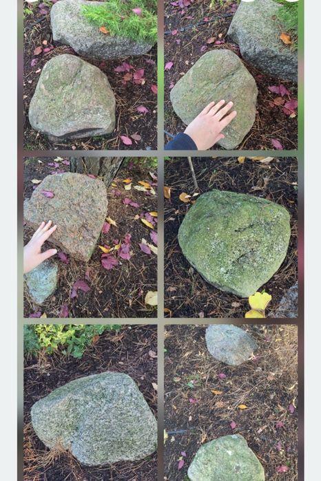 Oddam 13 dużych kamieni / około 45 cm - 60 cm