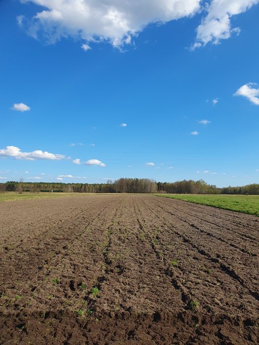 Glebogryzarka minitraktor