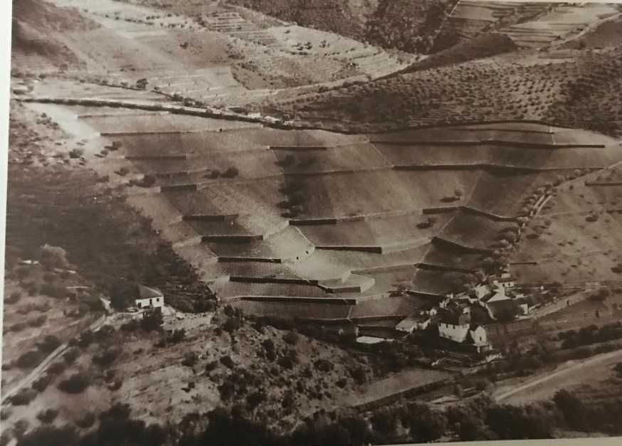 3 Gravuras de Domingos Alvão a preto e branco