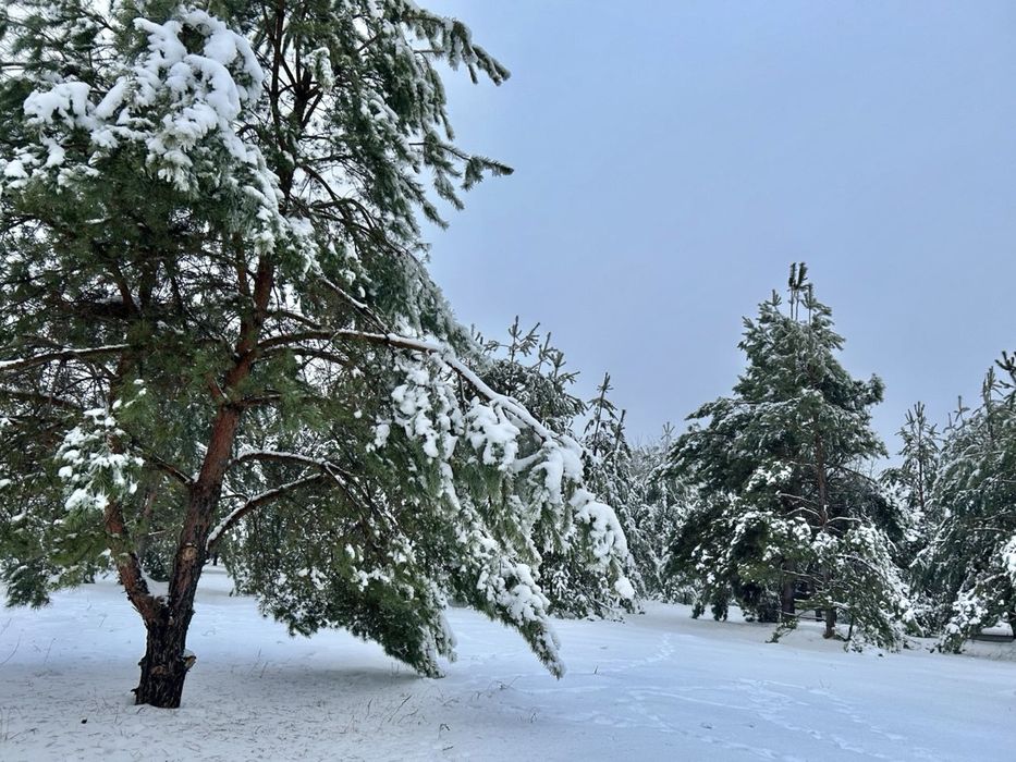 Земельна  ділянка з озером! 1,25 га. Мотижин.