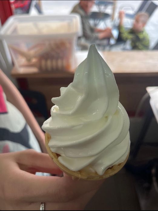 Lodziarnia-lokal gastronomiczny,handlowo-usługowy