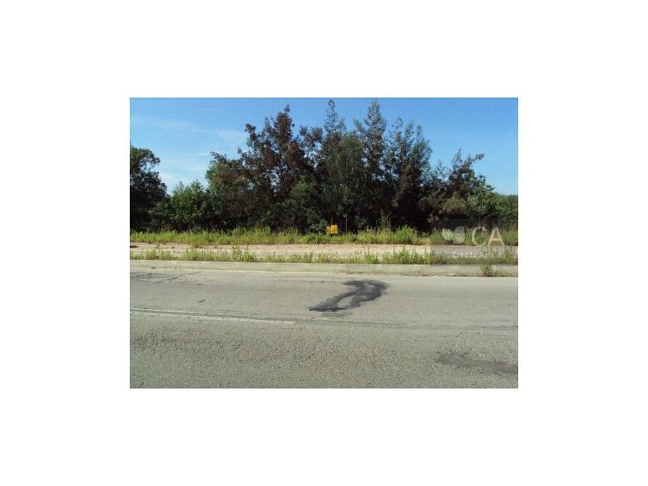 Lote de Terreno de Poiares — Poiares (Santo André), Coimbra