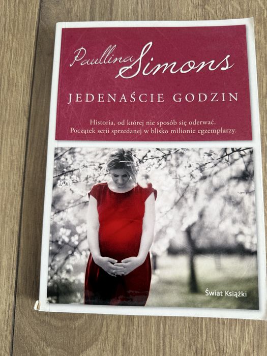 Kedenaście godzin Paullina Simons