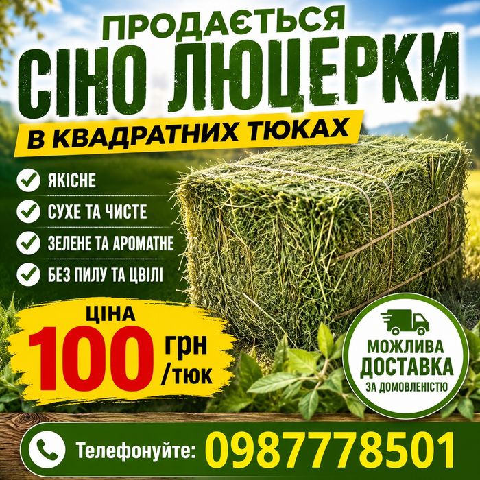 Продам сіно люцерки