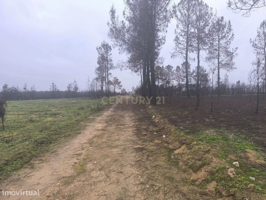 Terreno com vinha e poço - Perto da Zona Industrial de Chaves