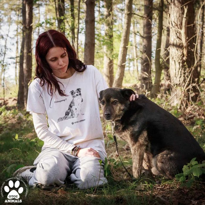 Spokojny Boyko poleca się do adopcji!
