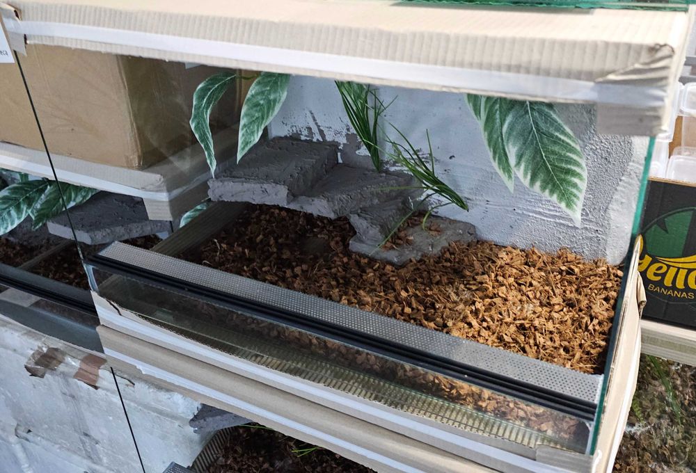 Terrarium z wystrojem 60x40x40 lub 40x40x60