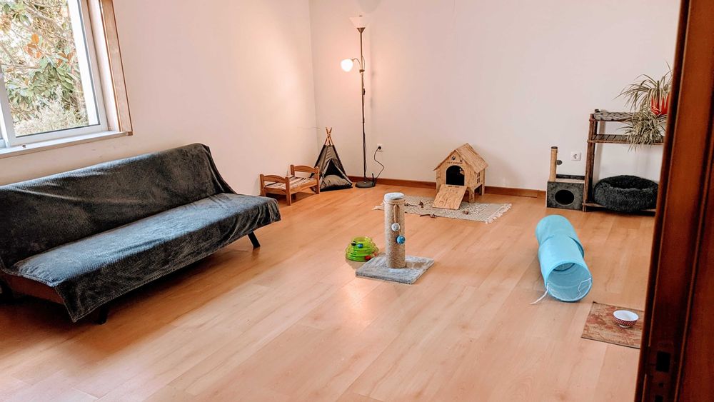 CAT HOTEL. Hotel para gatos. Hospedagem Familiar para Gatos