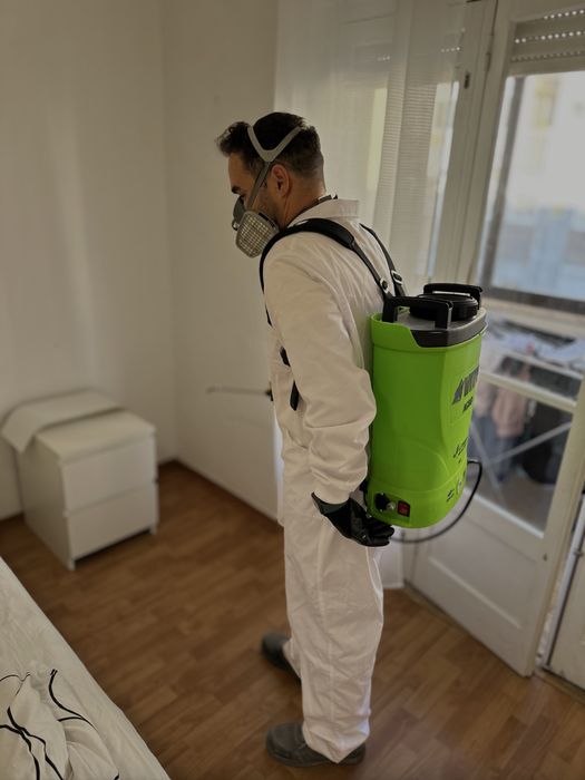 Desinfestacao PERCEVEJO BARATAS RATOS TERMITAS PULGAS