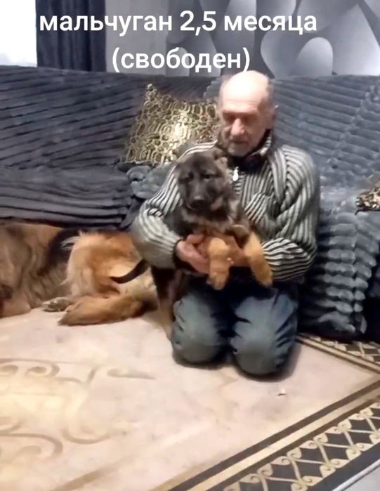 Мальчики и девочки,крупные и яркие.