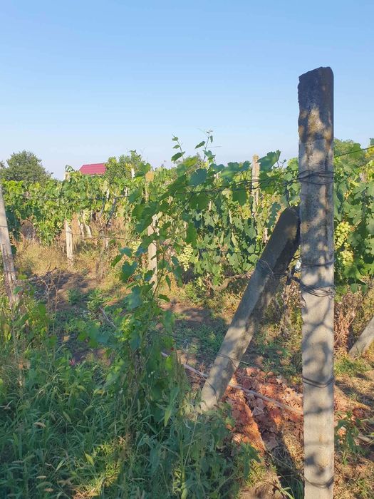 Продам будинок в смт Великодалинське