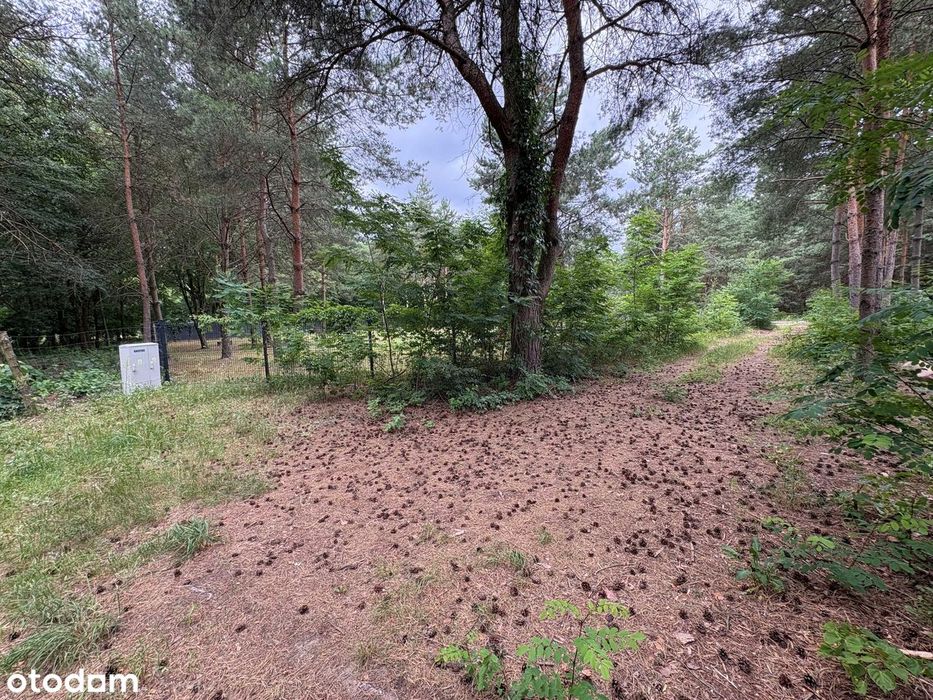 Działka budowlana 1505 m² , ogrodzona, prąd, Wężyk, gmina Grodzisk Maz
