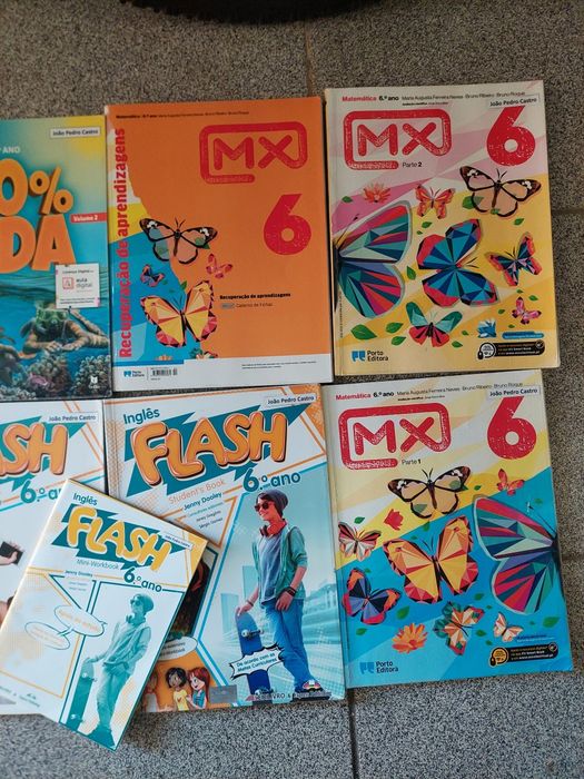 Livros escolares 6 ano