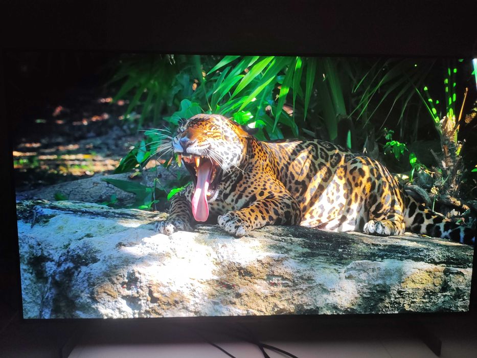 TV / Monitor OLED C2 42 4K 120HZ G-Sync