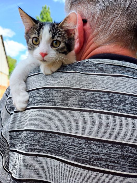 Хлопчик і дівчинка, 4,5 міс.