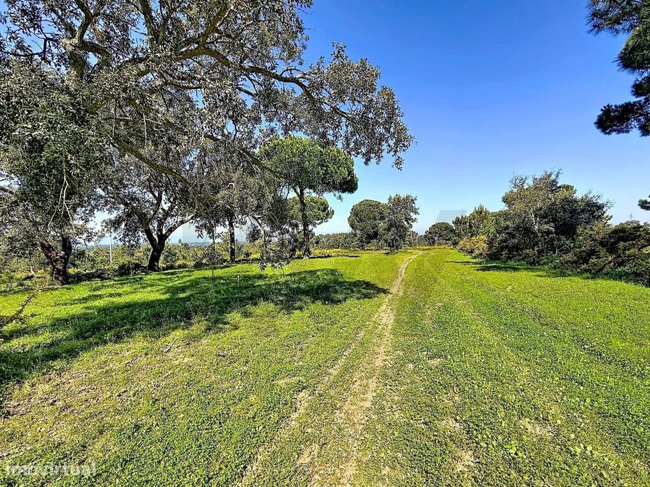Terreno rústico de 80.000m2 com viabilidade de construção, em Sesimbra