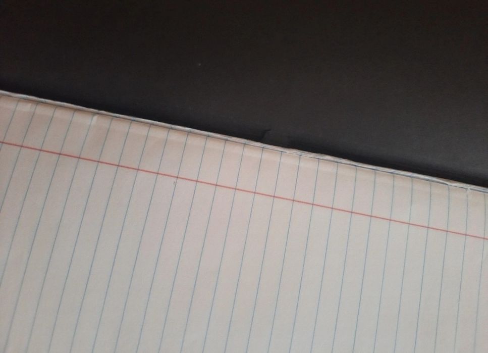 Cadernos Pautados Staples