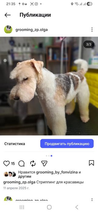 Стрипінг професійно