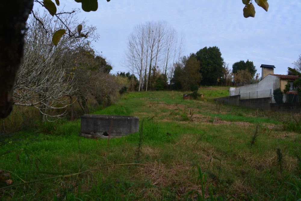 Terreno Urbano em Nariz Aveiro