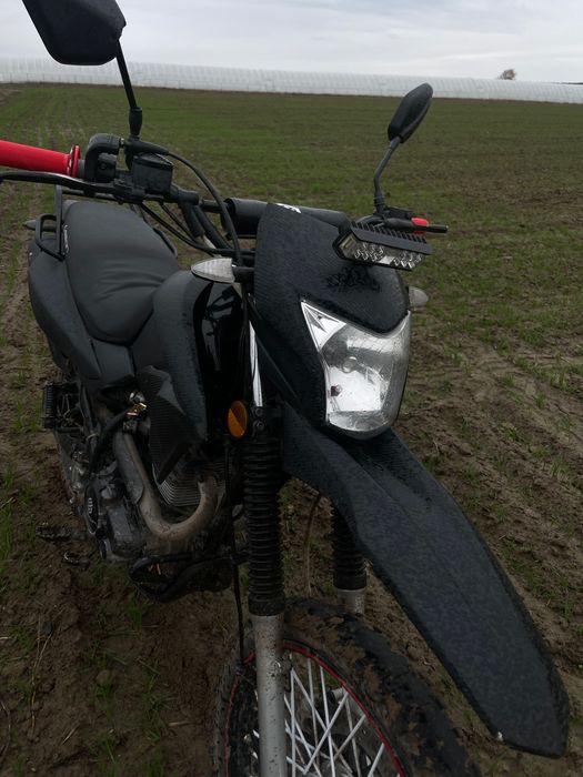 Geon x road 200 light