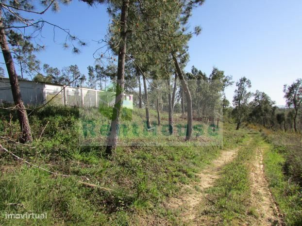 Terreno Para Construção Junto a Coimbra