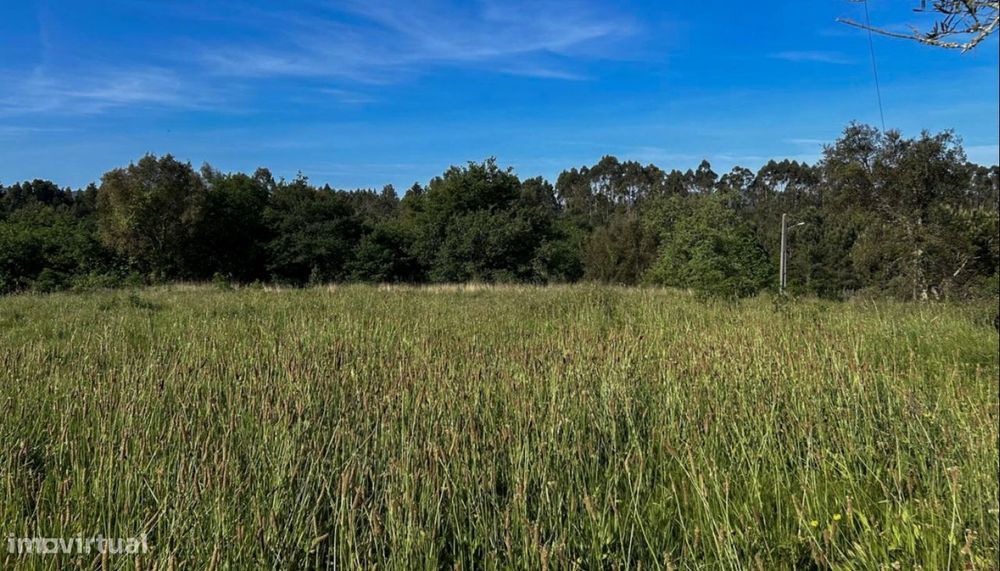 Venda de Terreno, Montaria, Viana do Castelo