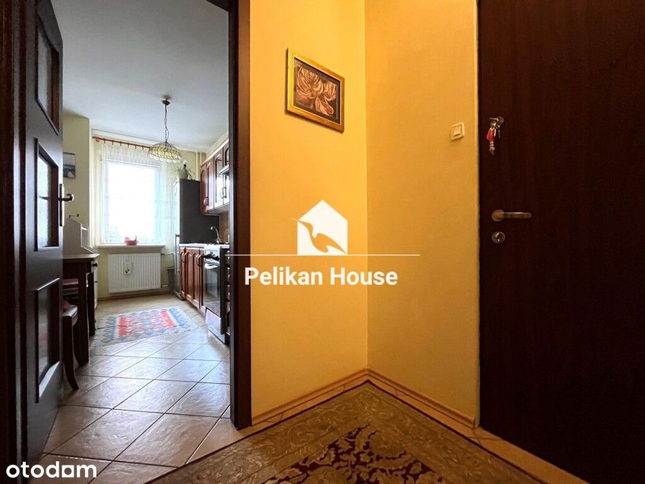 2 pokoje, loggia i ogródek 60m2
