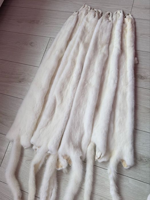 Шкурки (мех) норки, чорнобурки, песця, єнота, лисиці, блюфроста