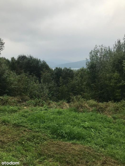 Działka budowlana nad jeziorem Żywieckim