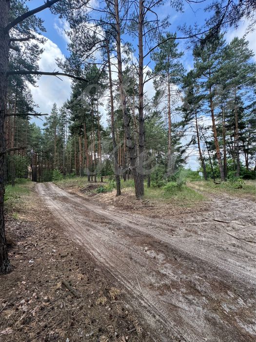 Продам НАЙКРАЩІ ділянки в МАЛЬОВНИЧОМУ місці, 27соток ,с.Проців, ЛІС