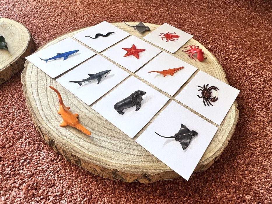 Animais do fundo do Mar - Montessori