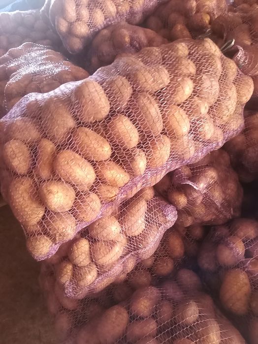 Продам картоплю оптом