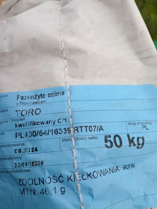 Pszenżyto Ozime Ozime