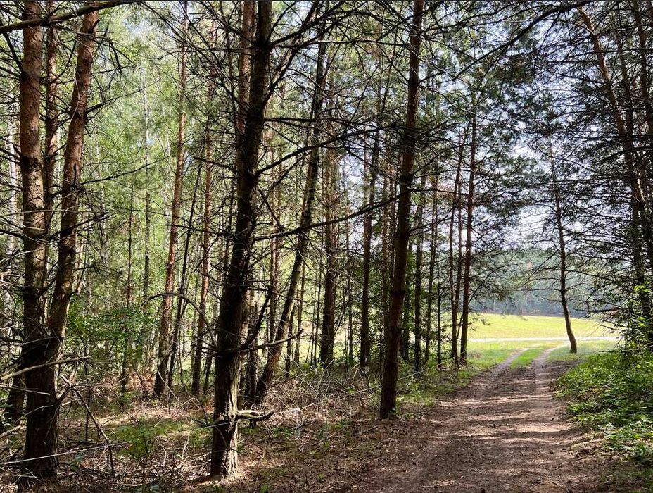 Działka budowlana z MPZP – oaza spokoju, tylko godzinę od Warszawy! - Widok 2