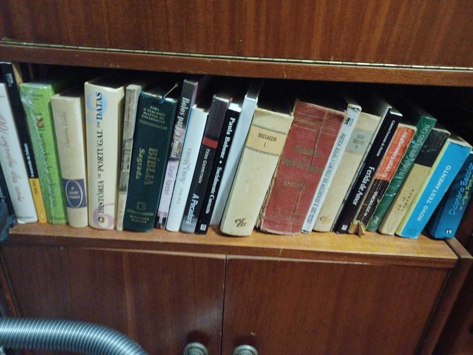 Livros diversos diversas categorias