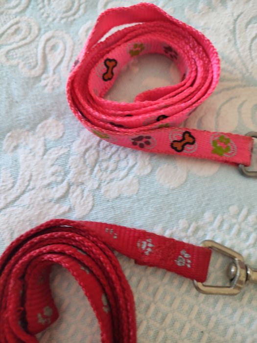 Duas trelas para animais