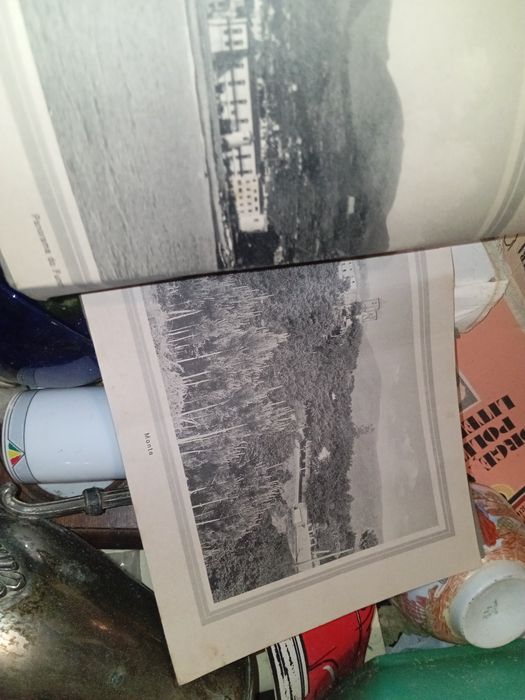 Imagens Funchal pequeno livro