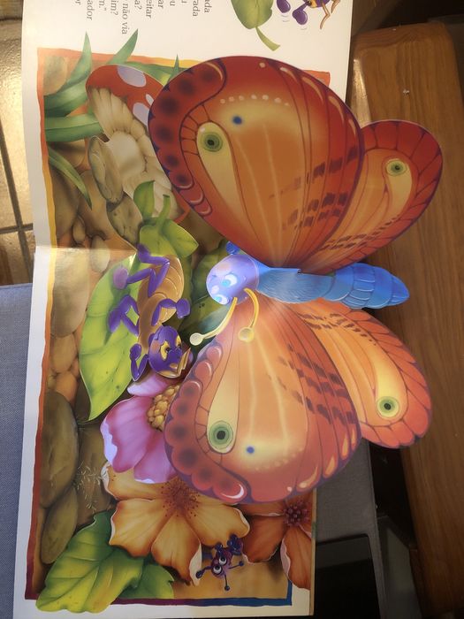 Que divertido livro surpresa de sue whiting e stuart martin