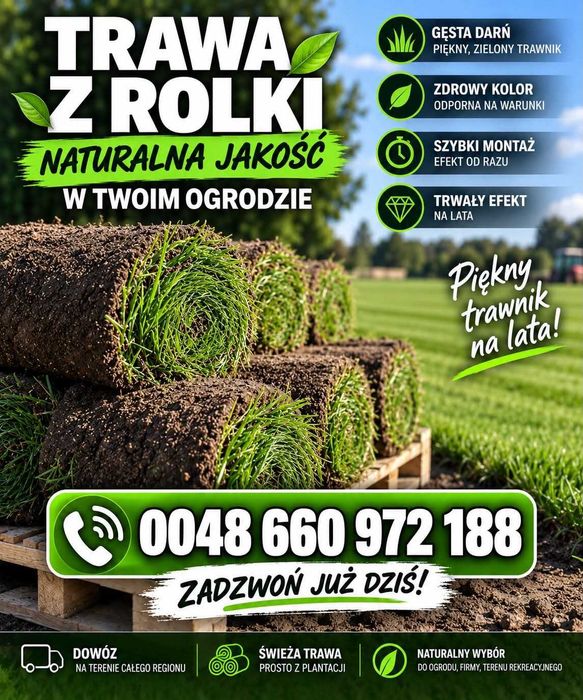 Trawnik Premium - Producent - Trawa z Rolki