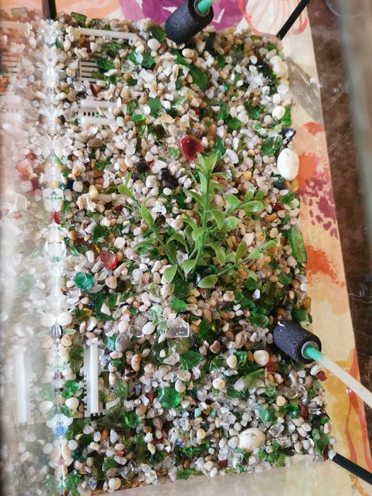 Vendo aquário com bomba de ar