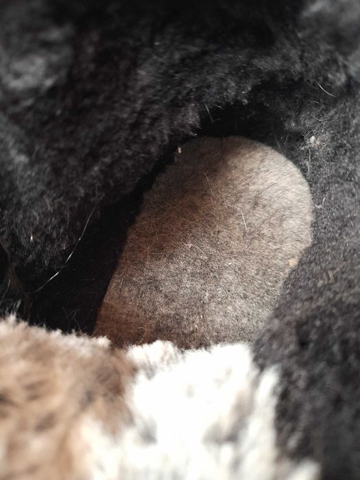 Buty trapery damskie sinsay, rozmiar 37