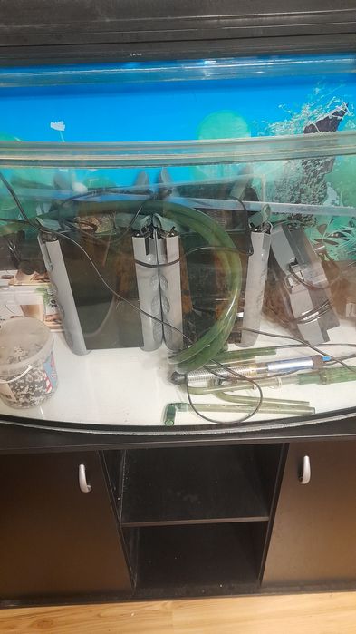 Panoramiczne akwarium o pojemności 200 litrów.