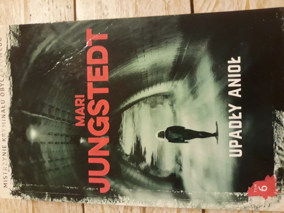 Upadły anioł. Mari Jungstedt