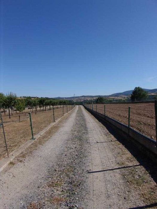 QUINTA_Bragança_Donai