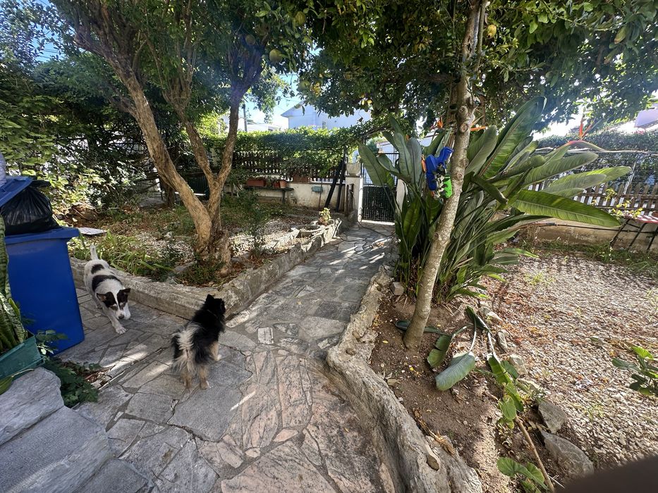 Quarto aluga se em moradia isolada em zona nobre de cascais