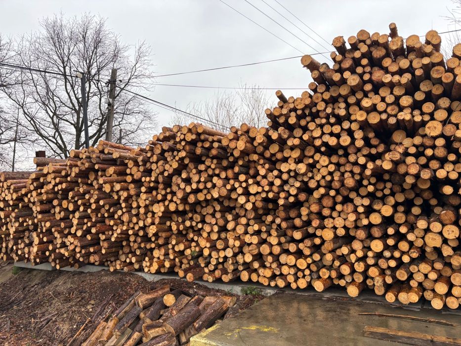 Stemple budowlane sosnowe 3 m  9 zł