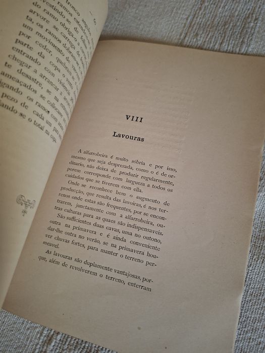 A cultura da Alfarrobeira livro de 1900