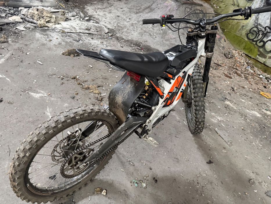 Surro light bee x 2022r