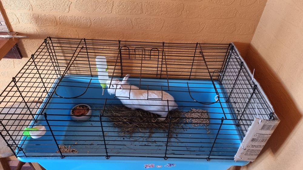 Клетка для кролика